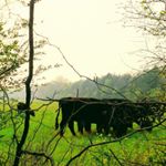 Profile Picture of Emerald Baker (@emmabakerr24) on Instagram