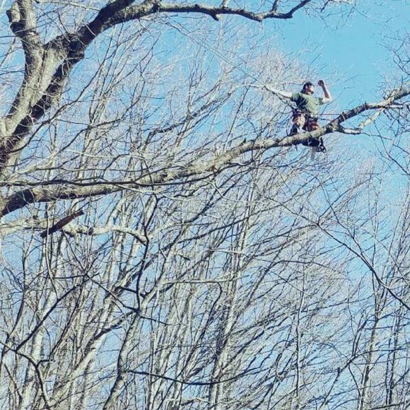 Profile Picture of Craig Webster (@craigw30) on Poshmark