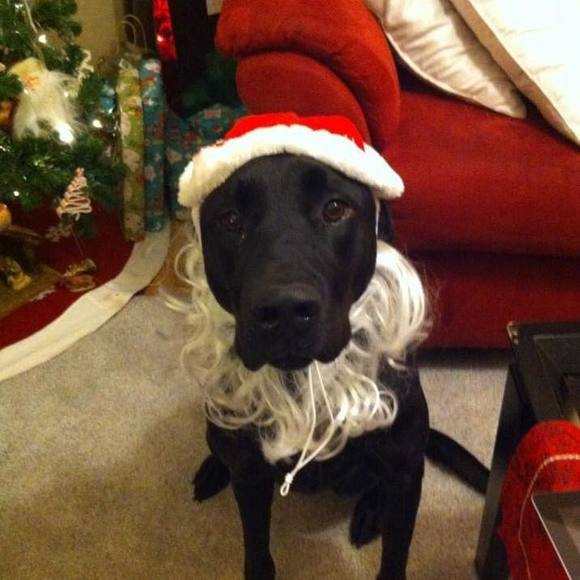 Profile Picture of Wendy Kreitman (@wmabrey32) on Poshmark