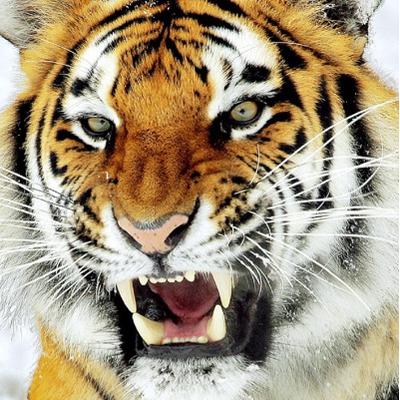 Profile Picture of Jacob Devoe (@21devoej) on Twitter