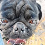 Profile Picture of Bianca Isabella Aparicio Garcia (@bianca.isabella.aparicio.garcia) on Facebook