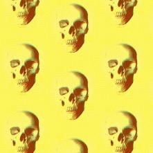 Sandra Sousa - Twitter Profile Picture of Sandra Sousa (@sandrasousa_1) on Twitter