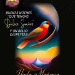 Profile Picture of Santa C Coconet (@Santa-C-Coconet) on Facebook