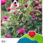 Profile Picture of Regina Rashid (@regina.rashid.777) on Facebook