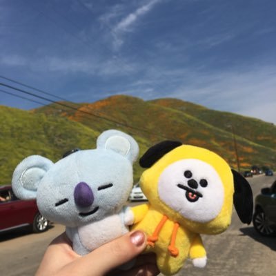 Profile Picture of Koya Kim And Chimmy Park (@KoyaKimPlays) on Twitter