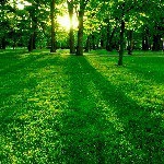 Profile Picture of Doug Small (@dsmall13) on Instagram