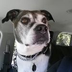 Profile Picture of Randy Gleason (@gleason.randy) on Instagram