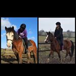 Profile Picture of Libbie Jones (@ridingonrainbows_) on Instagram