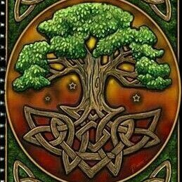 Profile Picture of Lia Joseph (@Liajoseph9) on Twitter