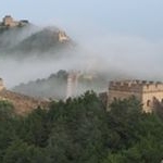 Gui Wong - Instagram Profile Picture of Gui Wong (@verapewpew) on Instagram