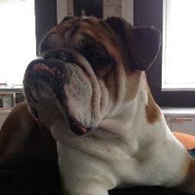 Profile Picture of Jeffrey W. Schneider (@JWS_TheLeadPR) on Twitter