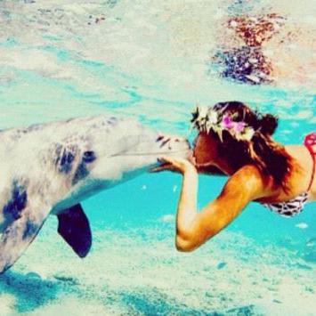 Profile Picture of Xenia García (@xeniagarcia7141) on Twitter