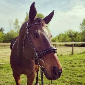 Profile Picture of Kelly Nichols (@kellynichols963) on Pinterest