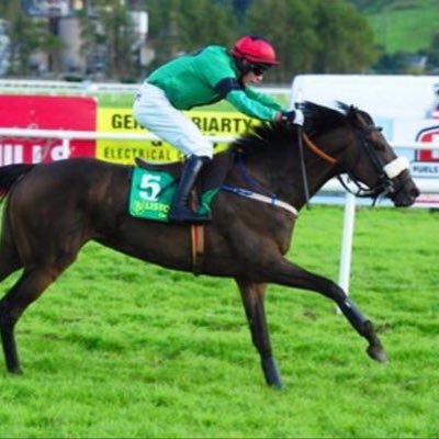 Profile Picture of John F Hally (@jfhally76) on Twitter