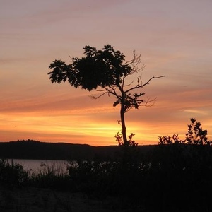 Tom Fredricks - Myspace Profile Picture of Tom Fredricks (@bunniesofdoom) on Myspace