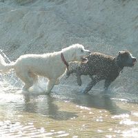 Profile Picture of Mark Toolan (@mark-toolan-3) on Quora