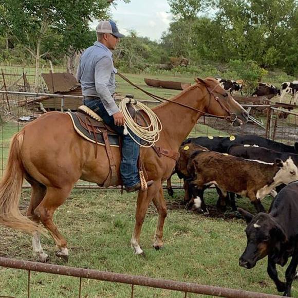 Profile Picture of Dakota Zapalac (@dakotazap) on Poshmark