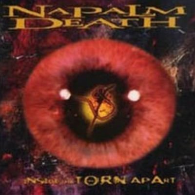 Profile Picture of  🇲🇽Julia Velazquez 🇲🇽 (@JuliaVe55045234) on Twitter