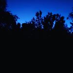 Profile Picture of daniel shatley (@mango_rune) on Instagram