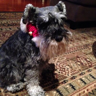 Profile Picture of Peter L Aguilar (@peteraguilar09) on Twitter