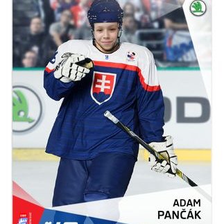 Profile Picture of Fanúšik Slovenska (@adam_pancak) on Twitter