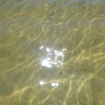 Profile Picture of Kai しょうや Martin (@kmart.burl) on Instagram