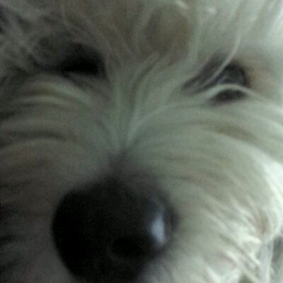Profile Picture of Bryan Connors (@bconnors10) on Twitter