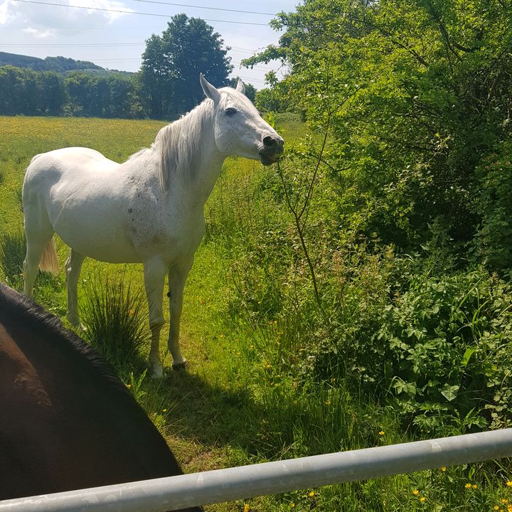 Profile Picture of robertworlin (@robertworlin) on Tiktok