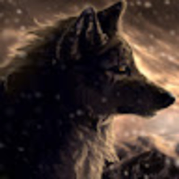 Profile Picture of Daniel Balcer (@danielbalcer420) on Poshmark