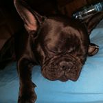 Profile Picture of Martin Kónya (@_akeem_joffer_) on Instagram