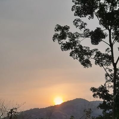 Profile Picture of Soumya Mohan (@SoumyaM34747265) on Twitter