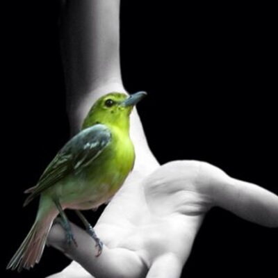 Profile Picture of Sharon Doherty (@sharondoherty13) on Twitter