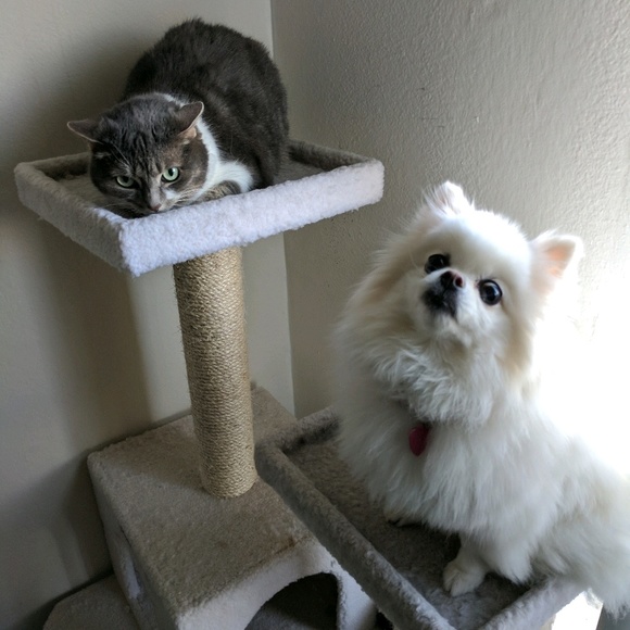 Profile Picture of John Fridrich (@gideon201) on Poshmark