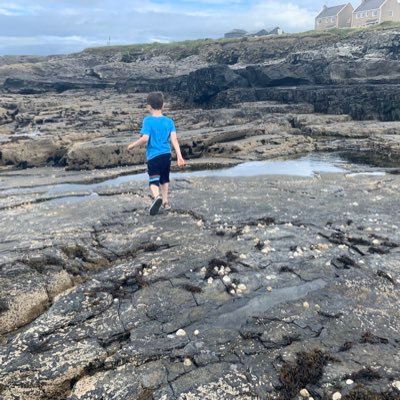 Profile Picture of David Lyons (@DavidLy24853926) on Twitter