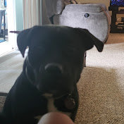 Profile Picture of Jazzy Jones (@Jazzy542) on Youtube