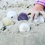 Profile Picture of Richard Loya (@rl_dayones) on Instagram