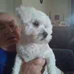 Profile Picture of Sean Ruddy (@j.ruddy173) on Instagram