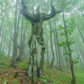 Profile Picture of Miasalica (@salikamia190) on Pinterest