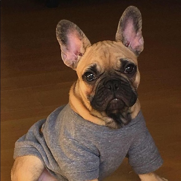 Profile Picture of Julianna Bueno (@juliannabueno) on Poshmark