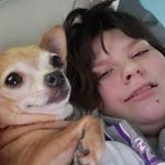 Profile Picture of Ashlee Olson (@ashleeswiper123) on Instagram