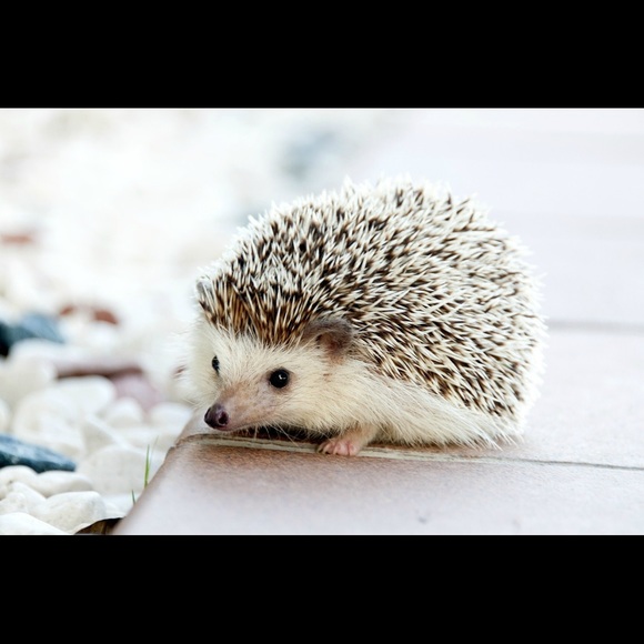 Elli Rothschild - Poshmark Profile Picture of Elli Rothschild (@elliroth) on Poshmark