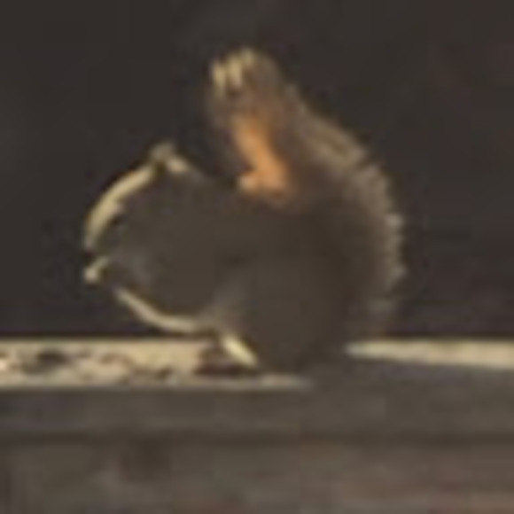 Profile Picture of Don Warnett (@donwarnett) on Poshmark