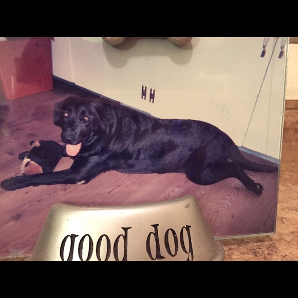 Profile Picture of David Bitonti (@bigdavesd) on Poshmark