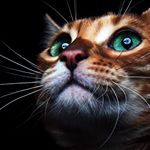 Profile Picture of rashmi acharya (@acharya_rashmi_u) on Instagram