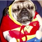 Profile Picture of James Hacker (@james_hacker76) on Instagram