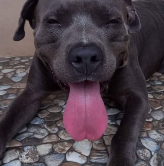 Airis Airis - Poshmark Profile Picture of Airis Airis (@iceice489) on Poshmark