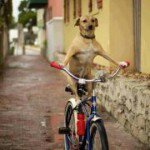 Leighton Samuels - Instagram Profile Picture of Leighton Samuels (@jonathanlaiton) on Instagram