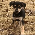 Janet Hedlund - Facebook Profile Picture of Janet Hedlund (@janet.hedlund.37) on Facebook