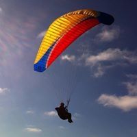 Profile Picture of Steven Weisz (@sww0001) on Pinterest