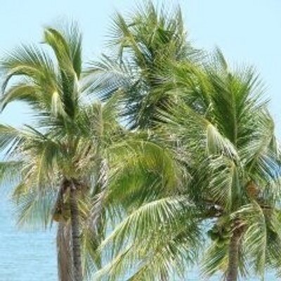Profile Picture of Mike McCaslin (@PickwickGH) on Twitter